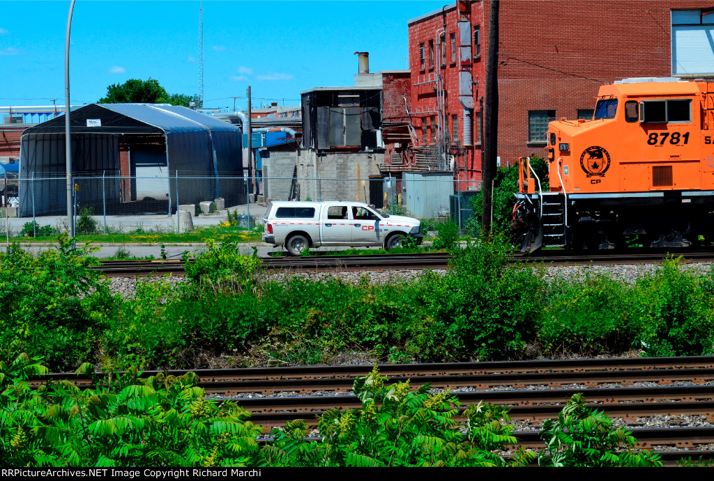 CP 8781